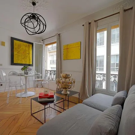 Large Luxury Flat Next To Champs Elysee Paris